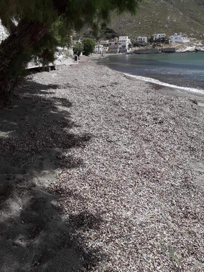 Kalymnos Beach House Panormos  Εξωτερικό φωτογραφία